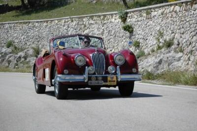 11mini-jaguar xk 140 dh