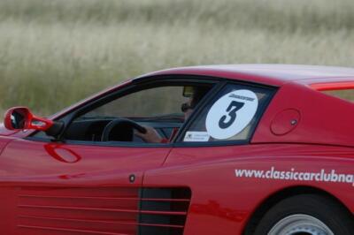 mini-1 DSC 0317 (107) JPG