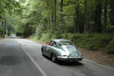 mini-1 DSC 0317 (115) JPG jpg