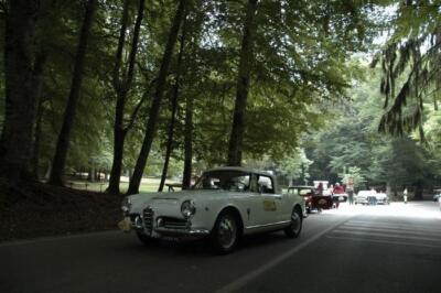 mini-1 DSC 0317 (117) JPG