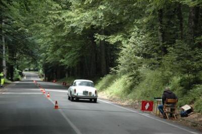 mini-1 DSC 0317 (118) JPG jpg