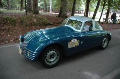 mini-1 DSC 0317 (120) JPG jpg