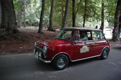 mini-1 DSC 0317 (121) JPG jpg