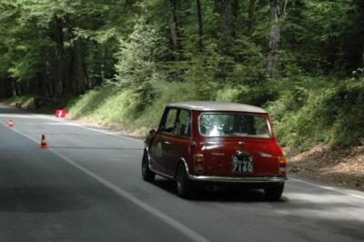 mini-1 DSC 0317 (122) JPG