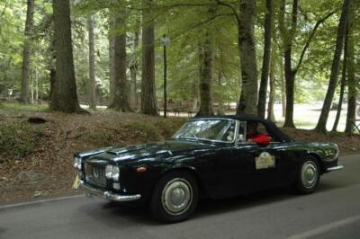 mini-1 DSC 0317 (123) JPG