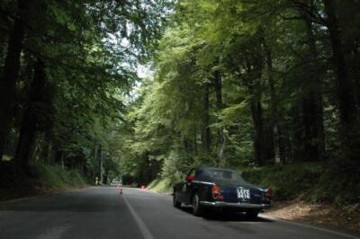 mini-1 DSC 0317 (124) JPG