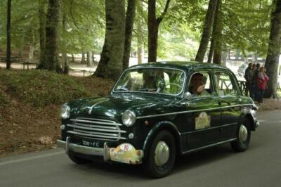 mini-1 DSC 0317 (126) JPG