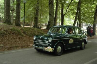 mini-1 DSC 0317 (127) JPG