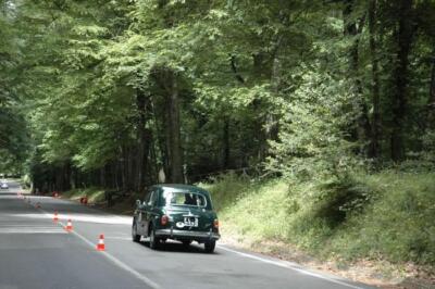 mini-1 DSC 0317 (128) JPG