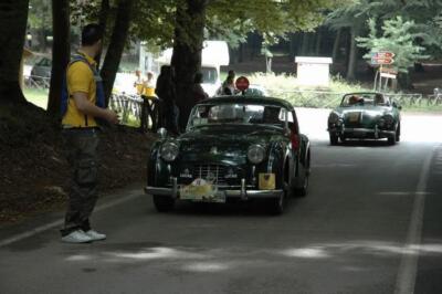 mini-1 DSC 0317 (129) JPG