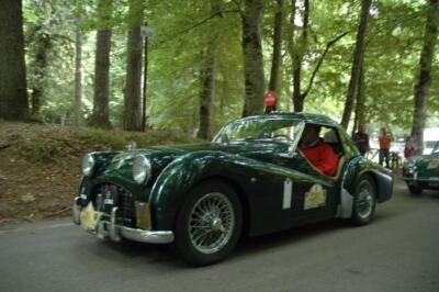 mini-1 DSC 0317 (130) JPG