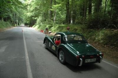 mini-1 DSC 0317 (131) JPG jpg