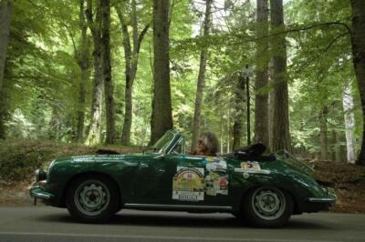 mini-1 DSC 0317 (133) JPG jpg