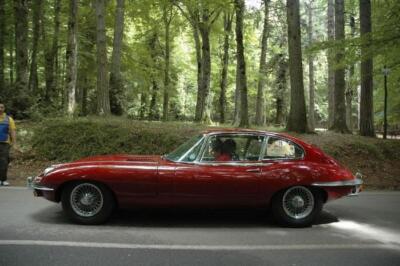 mini-1 DSC 0317 (138) JPG jpg