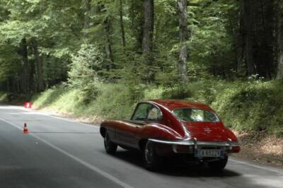 mini-1 DSC 0317 (139) JPG