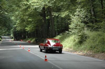 mini-1 DSC 0317 (140) JPG jpg