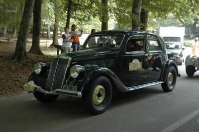 mini-1 DSC 0317 (146) JPG jpg