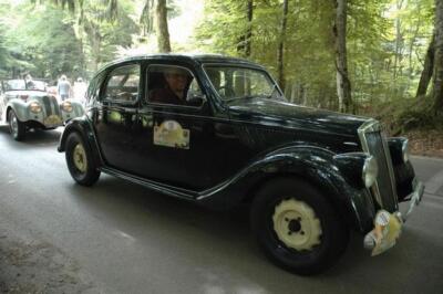 mini-1 DSC 0317 (147) JPG jpg