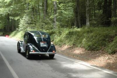 mini-1 DSC 0317 (151) JPG