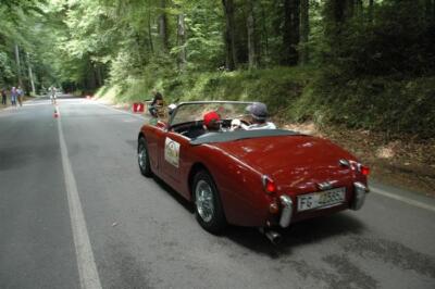 mini-1 DSC 0317 (162) JPG