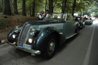 mini-1 DSC 0317 (170) JPG jpg