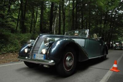 mini-1 DSC 0317 (176) JPG