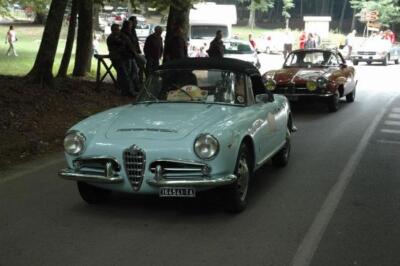 mini-1 DSC 0317 (179) JPG jpg