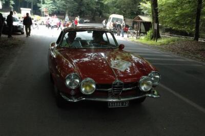 mini-1 DSC 0317 (180) JPG