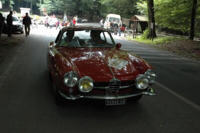 mini-1 DSC 0317 (180) JPG jpg