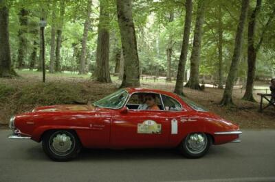 mini-1 DSC 0317 (181) JPG jpg