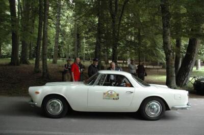 mini-1 DSC 0317 (182) JPG jpg