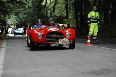 mini-1 DSC 0317 (187) JPG jpg