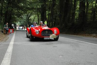 mini-1 DSC 0317 (188) JPG