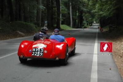 mini-1 DSC 0317 (191) JPG jpg