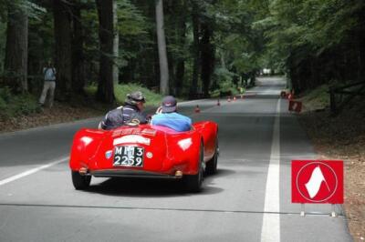 mini-1 DSC 0317 (192) JPG