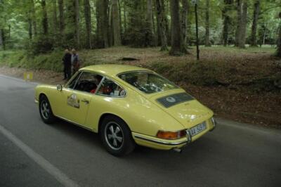 mini-1 DSC 0317 (195) JPG