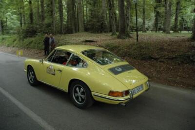 mini-1 DSC 0317 (195) JPG jpg