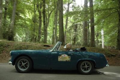 mini-1 DSC 0317 (205) JPG