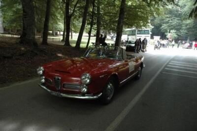 mini-1 DSC 0317 (206) JPG