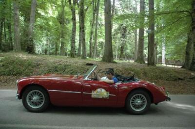 mini-1 DSC 0317 (213) JPG jpg