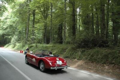 mini-1 DSC 0317 (215) JPG jpg