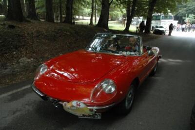 mini-1 DSC 0317 (216) JPG