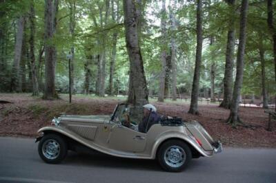 mini-1 DSC 0317 (218) JPG