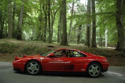 mini-1 DSC 0317 (220) JPG