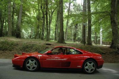 mini-1 DSC 0317 (220) JPG jpg