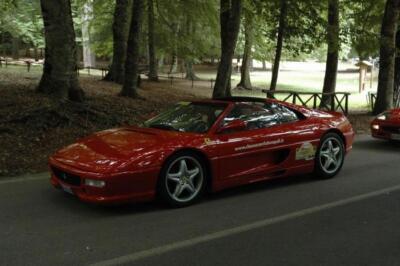 mini-1 DSC 0317 (221) JPG jpg