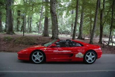 mini-1 DSC 0317 (222) JPG