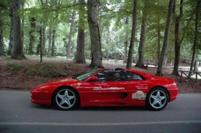 mini-1 DSC 0317 (222) JPG jpg