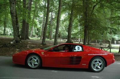 mini-1 DSC 0317 (223) JPG jpg