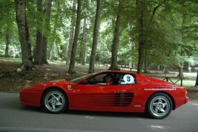 mini-1 DSC 0317 (224) JPG